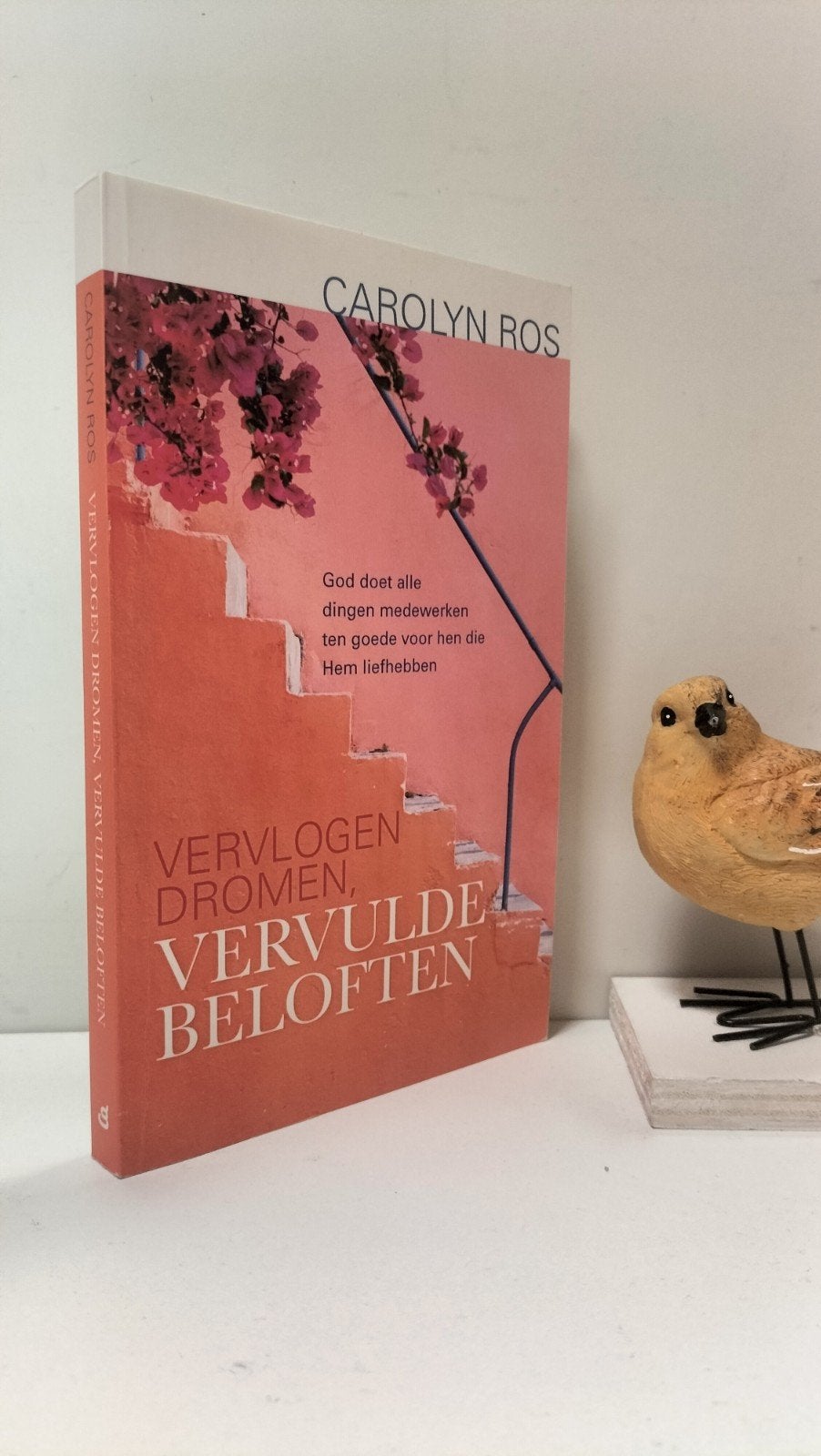 Ros, Carolyn; Vervlogen dromen, vervulde beloften, Ophalen of Verzenden, Gelezen, Christendom | Protestants