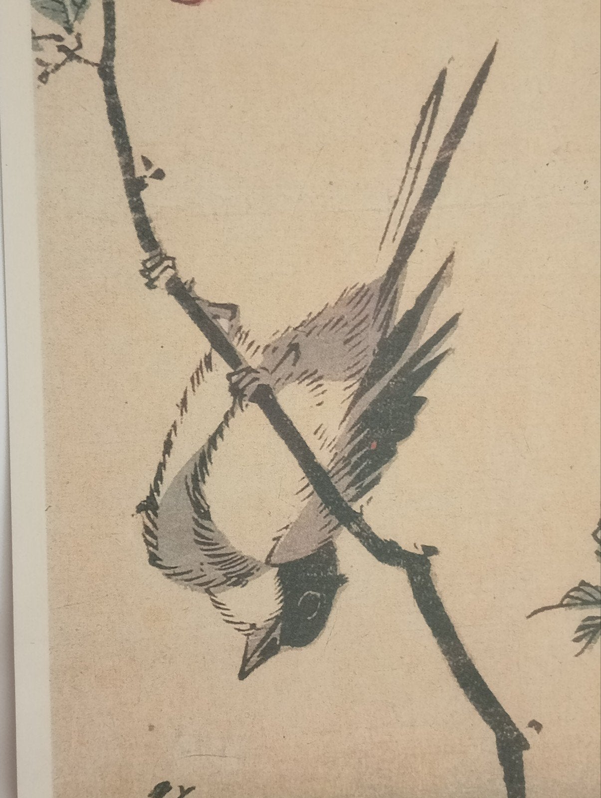 Vogel Japan offset prent 20e eeuw, Antiek en Kunst, Ophalen of Verzenden