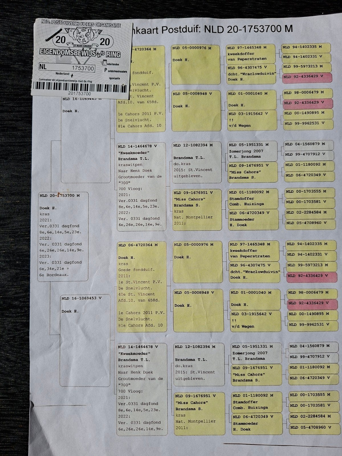 prestatie doffer, Mannelijk, Postduif