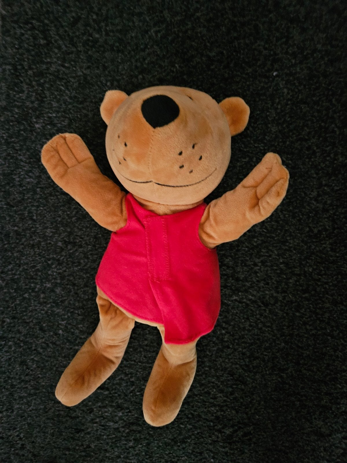 Beer handpop Kikker en zijn vriendjes, Kinderen en Baby's, Speelgoed | Knuffels en Pluche, Overige merken, Overige karakters, Beer