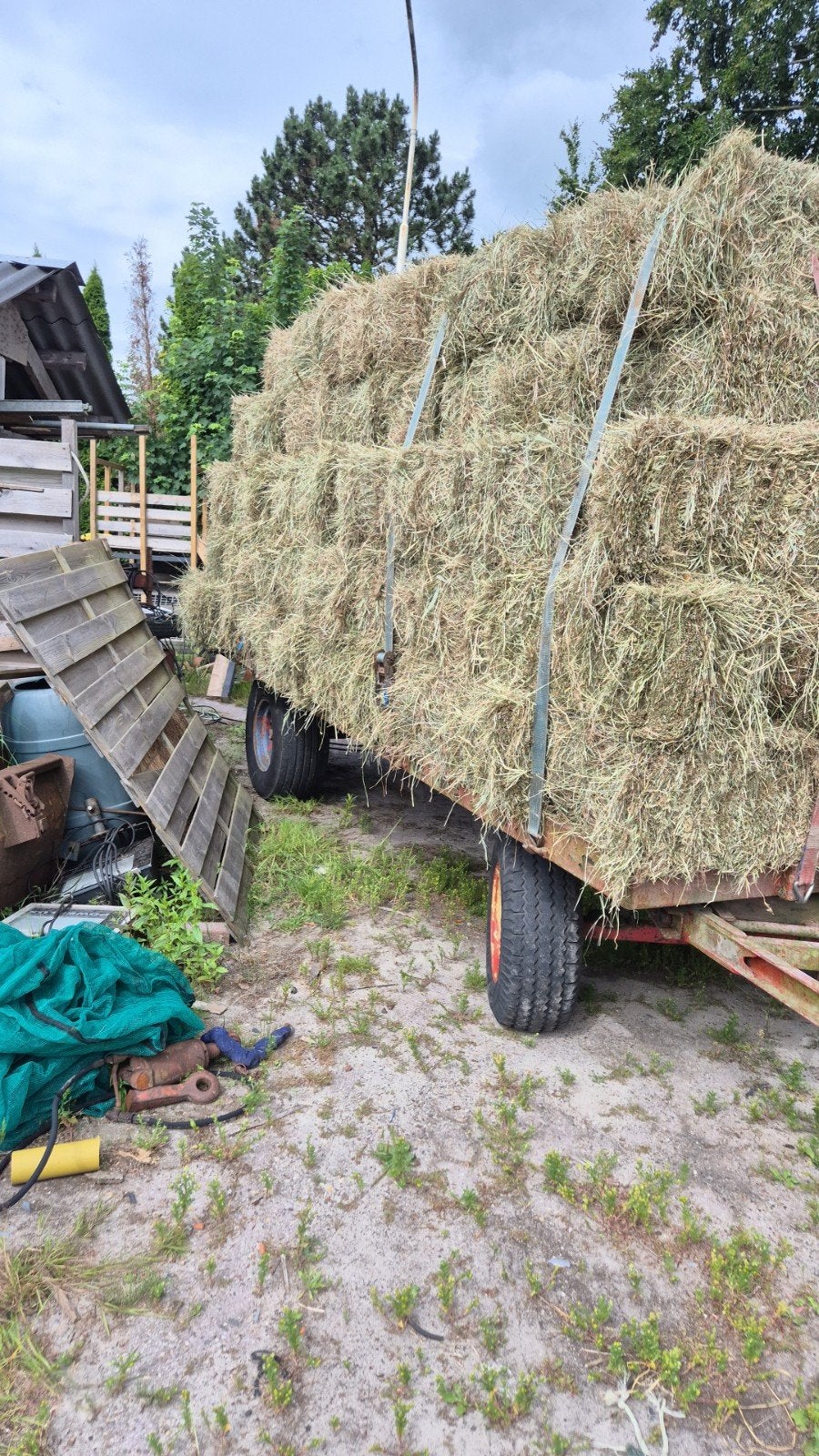 Hooi onkruidvrij  4.50 per pak  2026, Ophalen, Vee