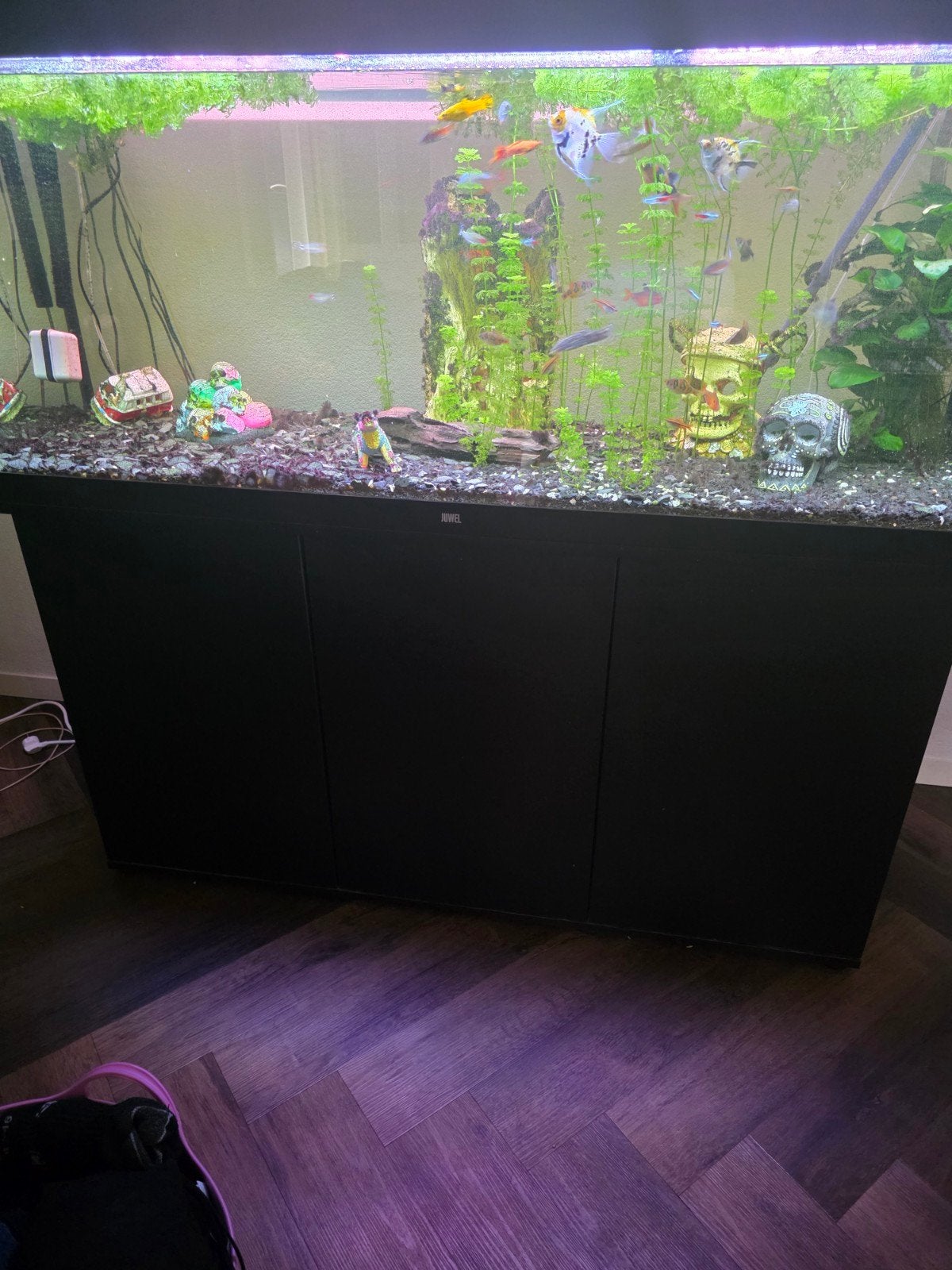 Juwel rio 450, Dieren en Toebehoren, Ophalen, Verwarming, Juwel, Gevuld zoetwateraquarium