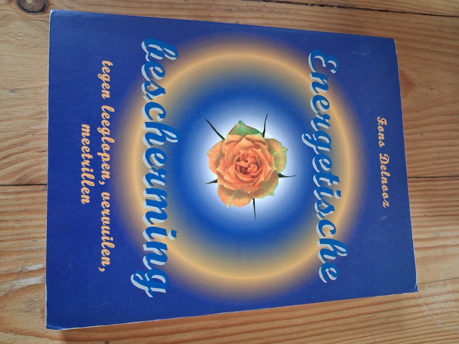 Energetische Bescherming - Fons Delnaaz, Boeken, Ophalen of Verzenden
