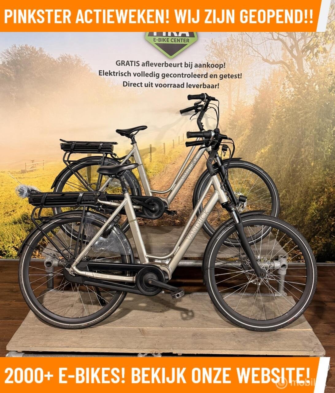 Van Dijck Phaedra Elektrische fiets met Bafang motor ebikes!, Overige merken