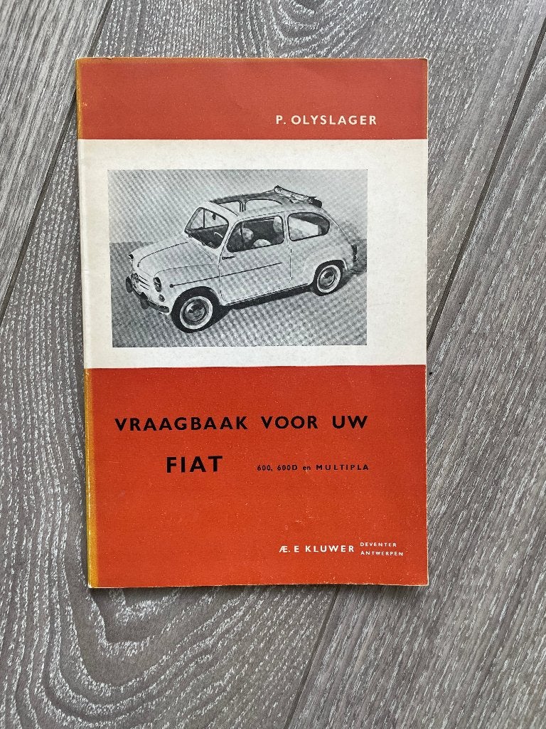 Vraagbaak Fiat 600, D, Multipla Original / Classic, Ophalen of Verzenden