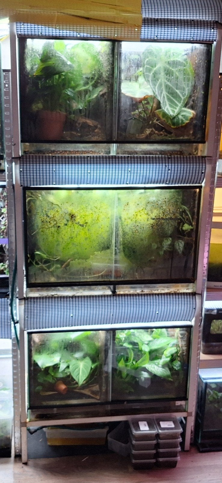 Terrarium Stelling Tropisch met afvoer en verwarming, Dieren en Toebehoren, Ophalen, Gebruikt, Terrarium of Paludarium
