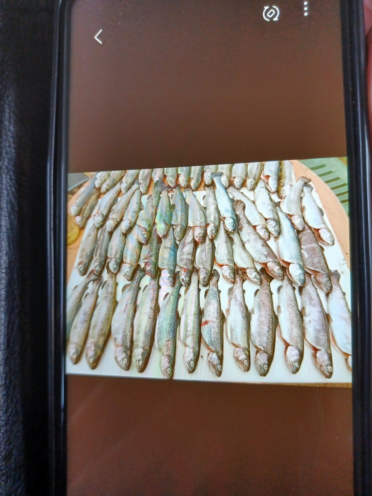 Verse en gerookte forel, Ophalen