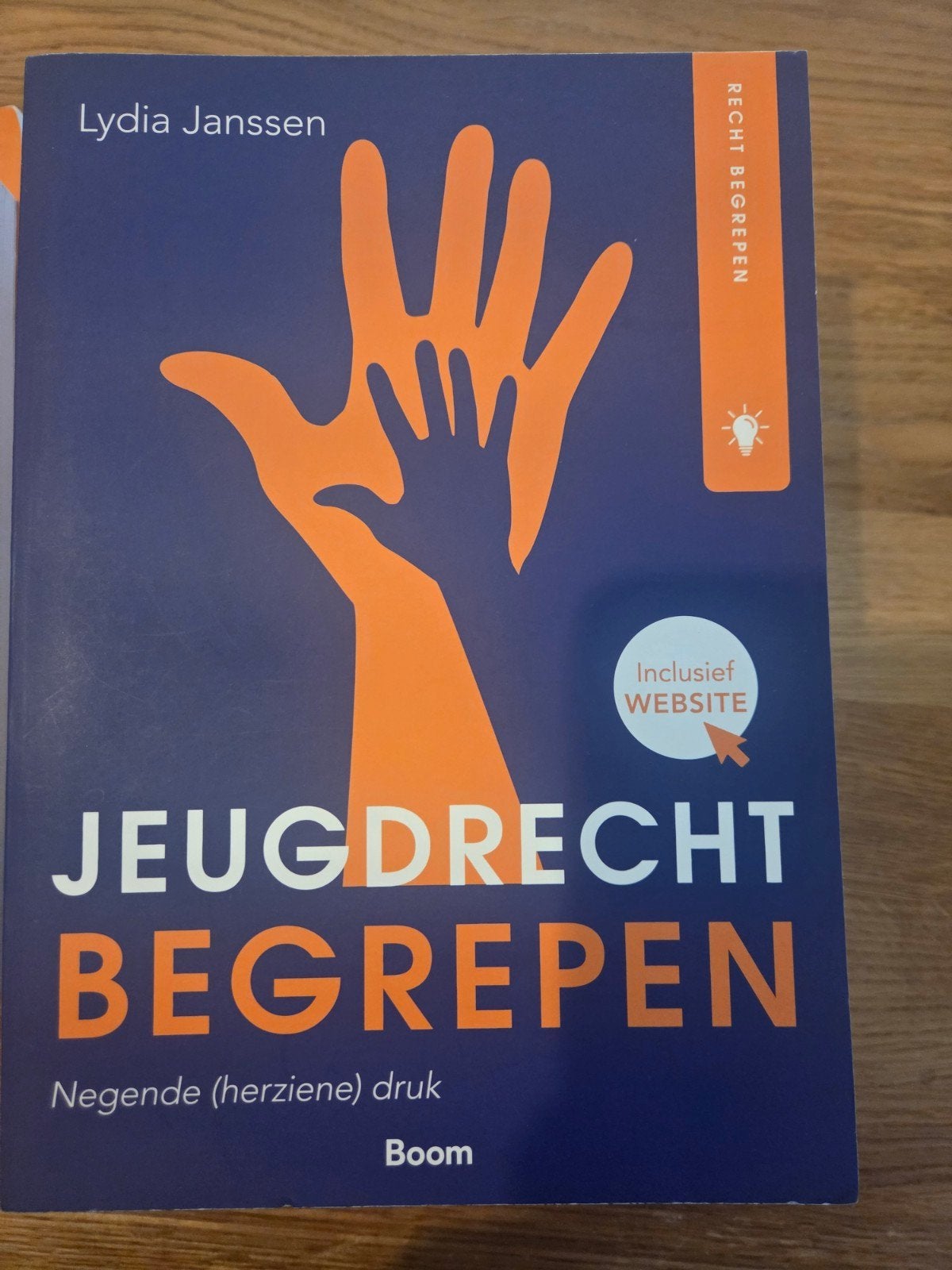 Jeugdrecht begrepen!, Boeken, Studieboeken en Cursussen, Ophalen of Verzenden, Beta, Zo goed als nieuw, HBO