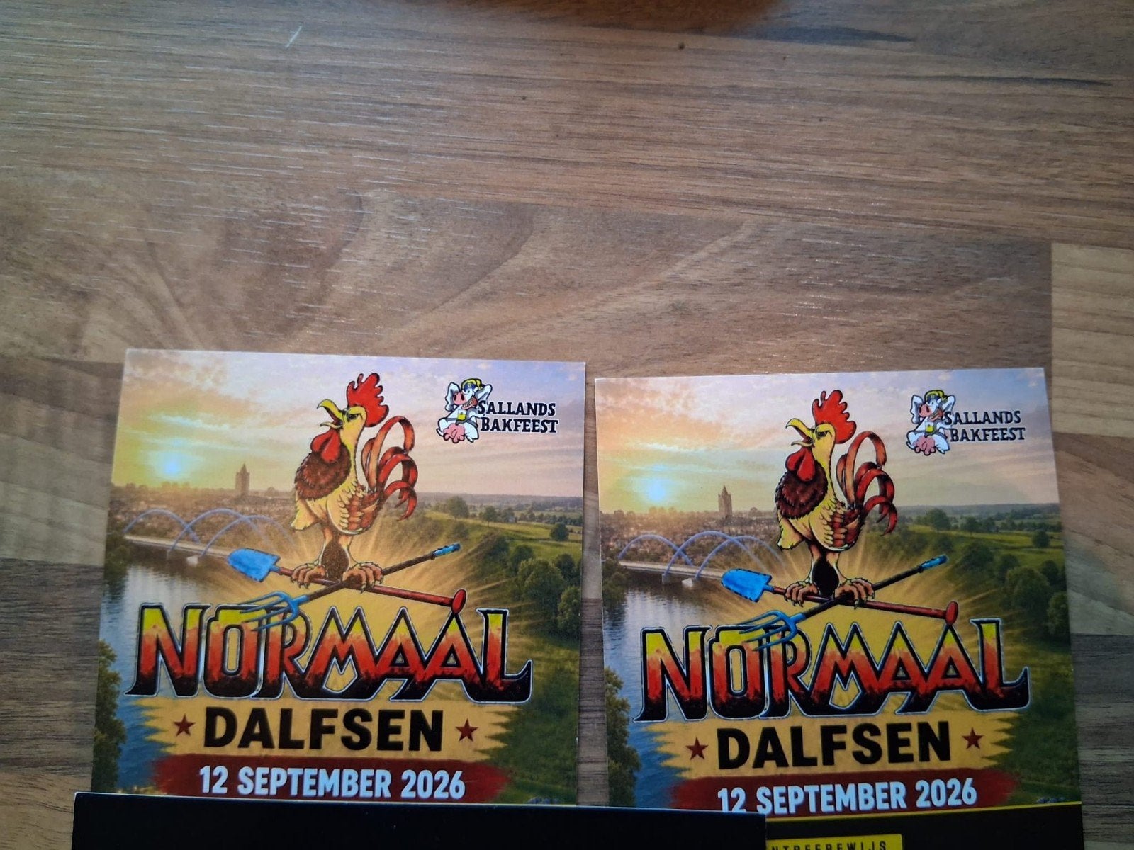 Tickets Normaal Dalfsen 2026, Twee personen, Ticket of Toegangskaart