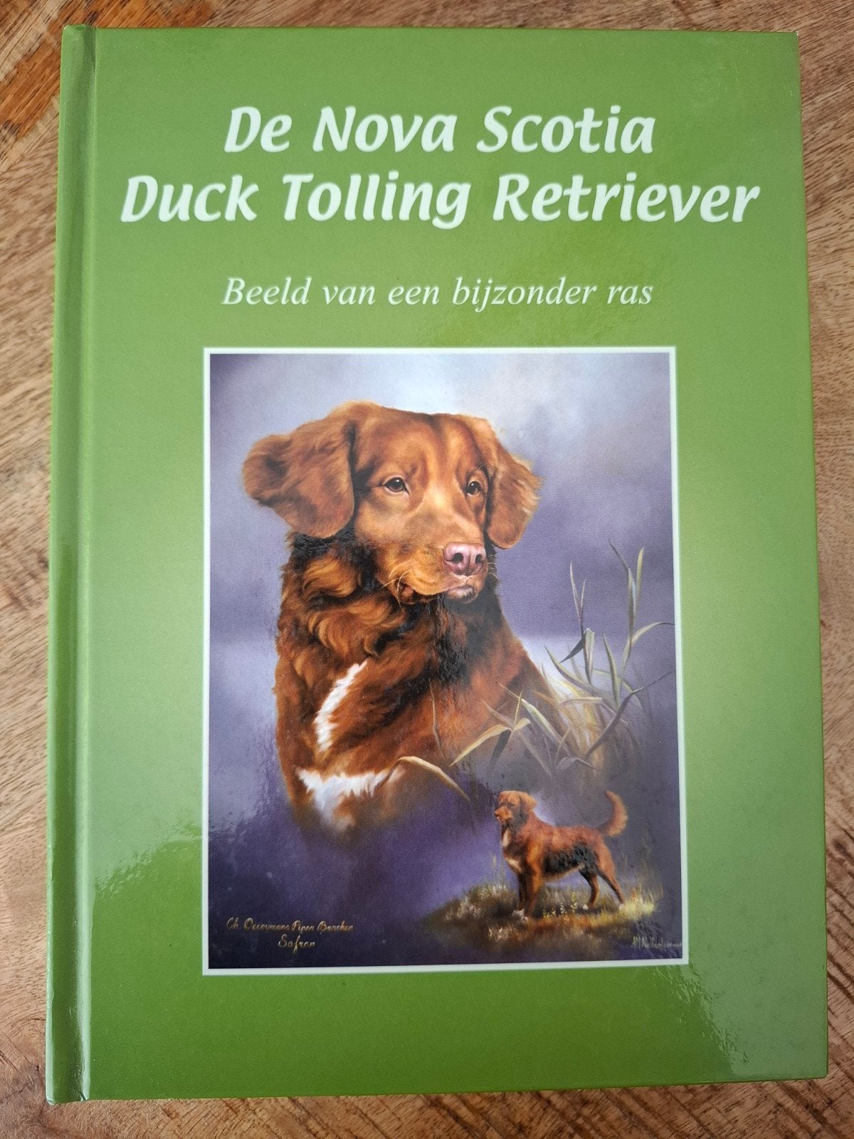 De Nova Scotia Duck Tolling Retriever - Boek, Ophalen of Verzenden, Zo goed als nieuw, Honden, Judith Gieskens
