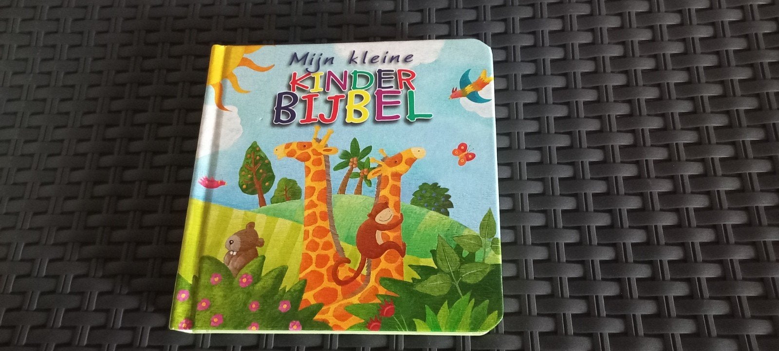 Mijn kleine kinderbijbel - Kleurrijk en leerzaam, Ophalen, Zo goed als nieuw, 1 tot 2 jaar