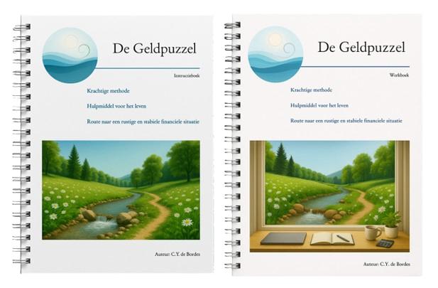 Financiële rust creëren - Praktisch coachingspakket, Verzenden, Nieuw, C.Y. de Bordes