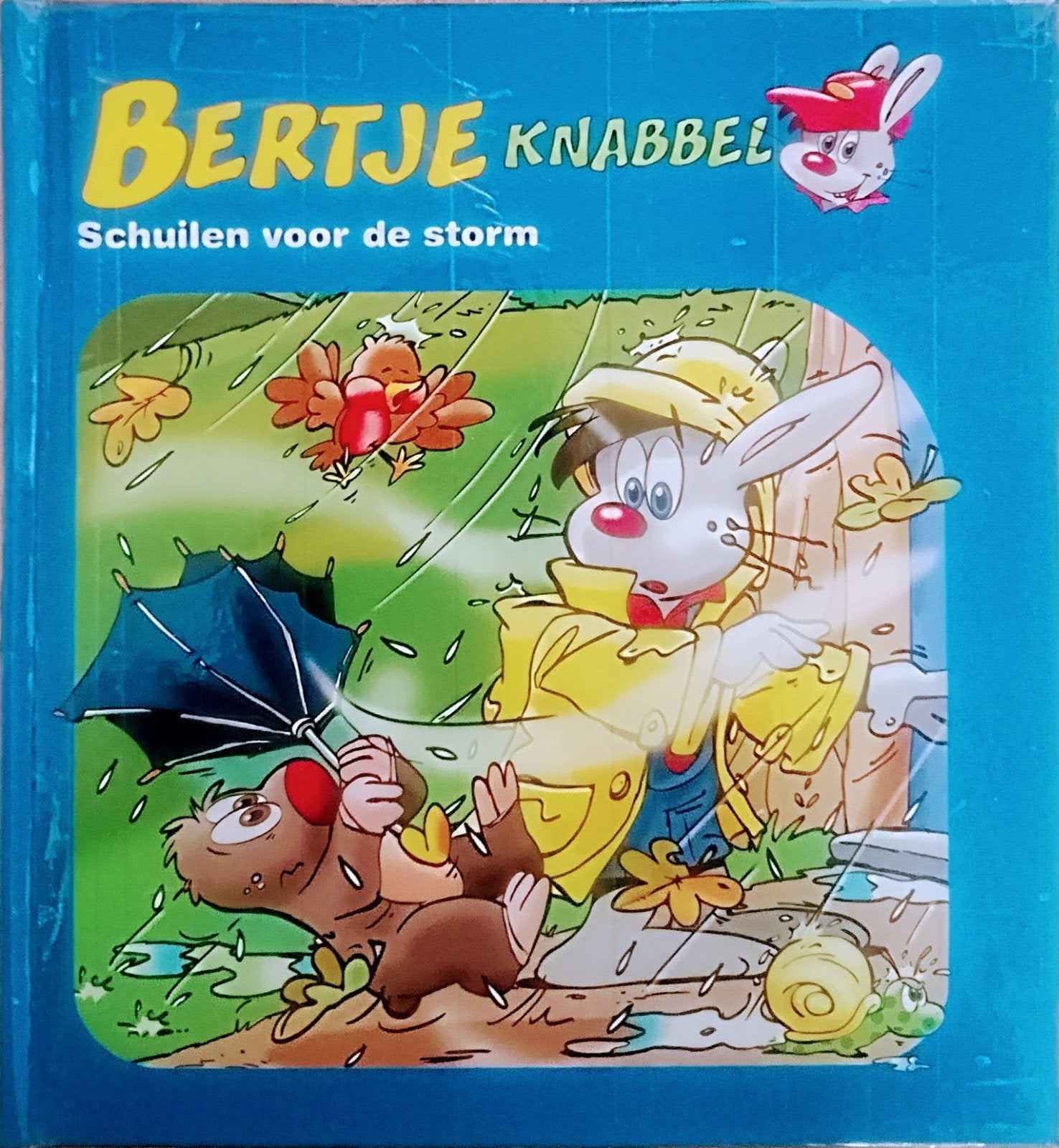 Bertje Knabbel Schuilen Voor De Storm, Gelezen, Fictie algemeen, Jongen of Meisje, Jan Ivens.