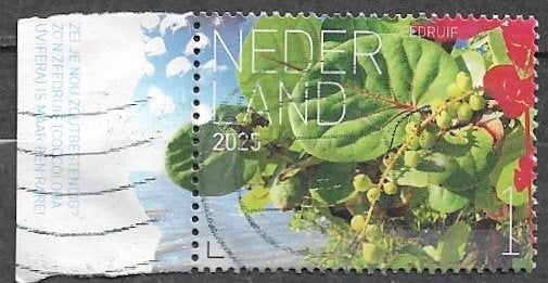 NL 1 zegel Natuur - Flora Sint Eustatius - Zeedruif - 2025, Verzenden, Na 1940, Gestempeld