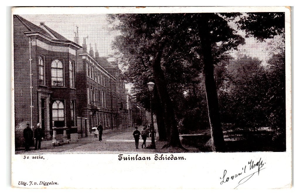 Schiedam, Tuinlaan, Verzenden, Voor 1920, Ongelopen, Zuid-Holland