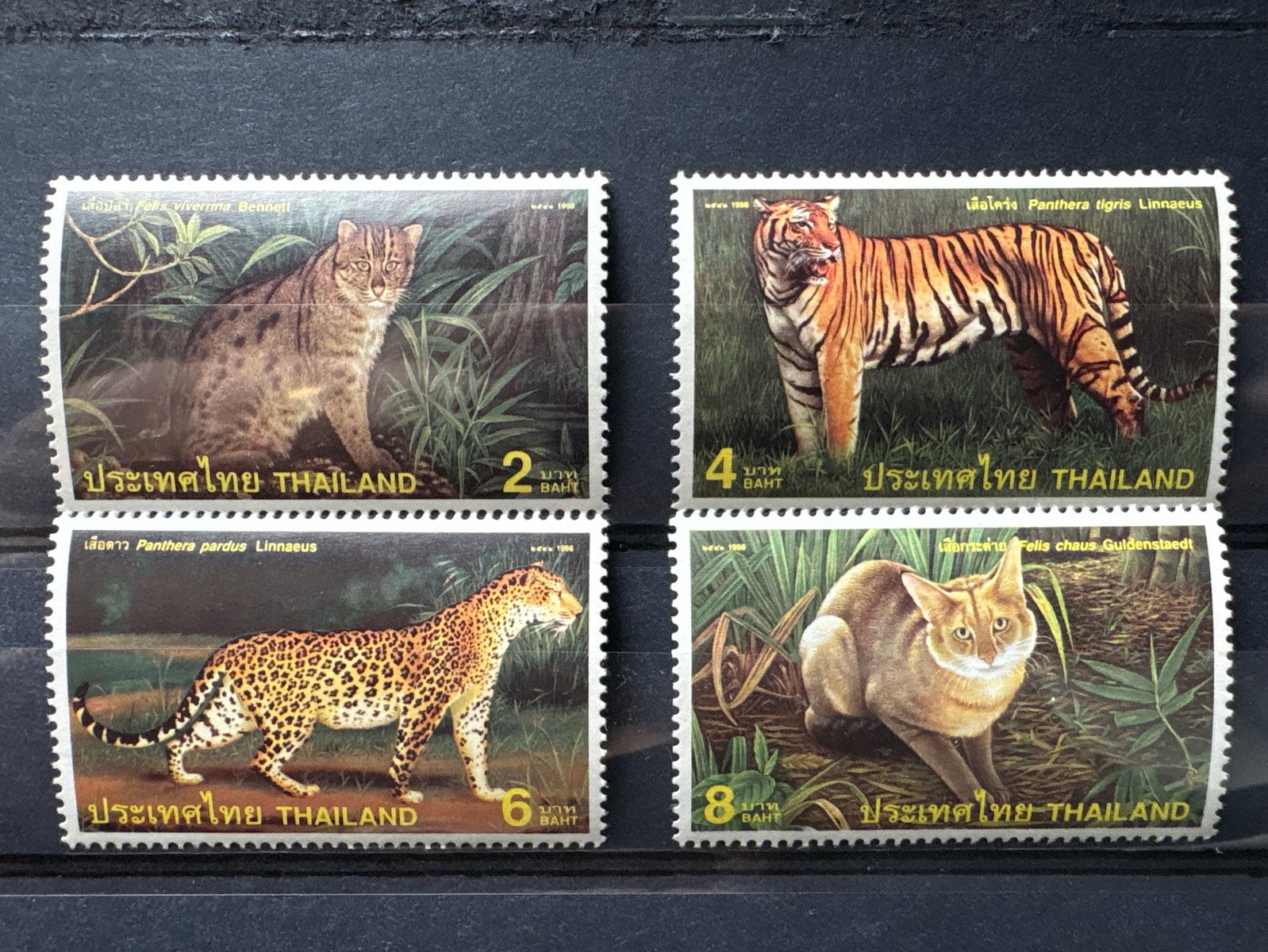 Thailand Postzegels Wilde Katten 1998, Ophalen of Verzenden, Na 1940, Postfris
