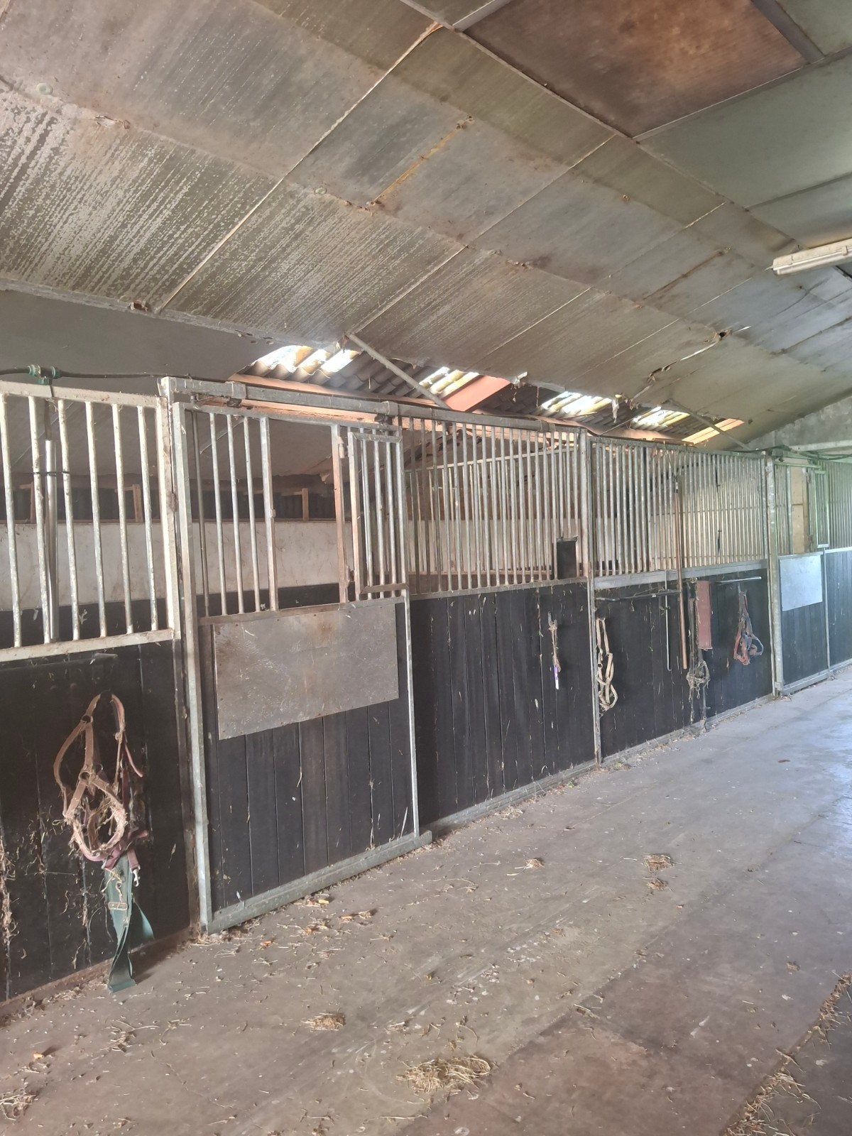 Pensio(e)nstalling, Dieren en Toebehoren