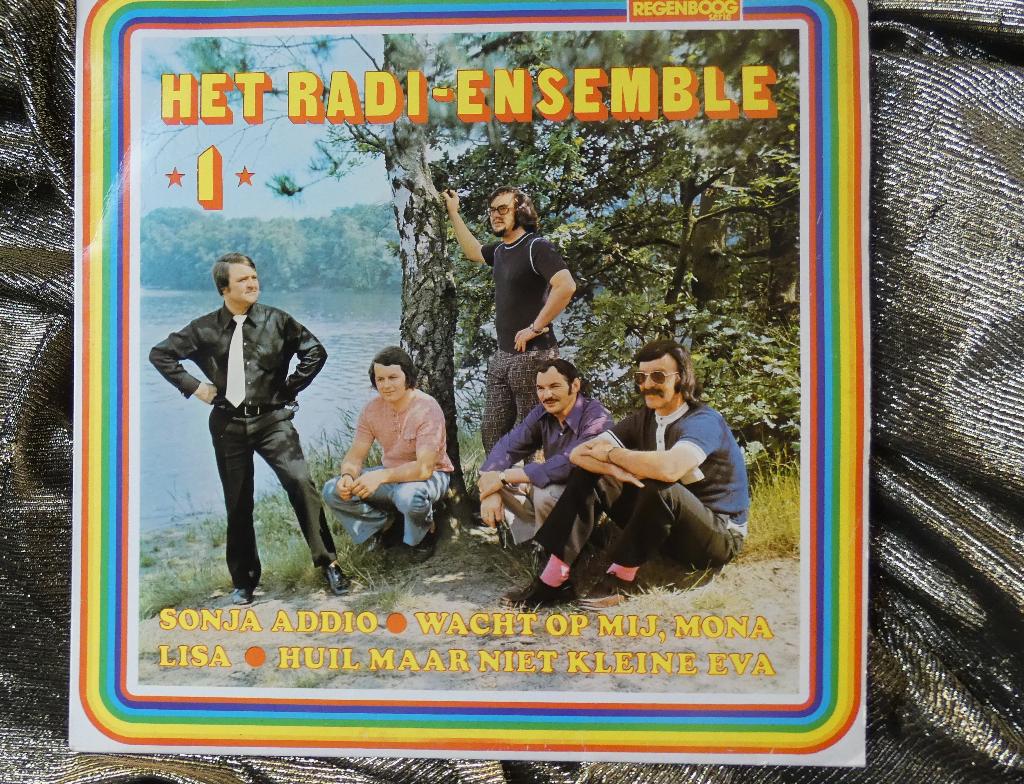 Het Radi-Ensemble – TELSTAR-Regenboog-LP, Ophalen, Gebruikt, 12 inch, Overige genres