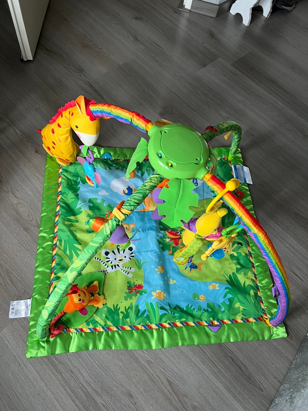 Een leuke speelkleed van FisherPrice, Ophalen, Gebruikt