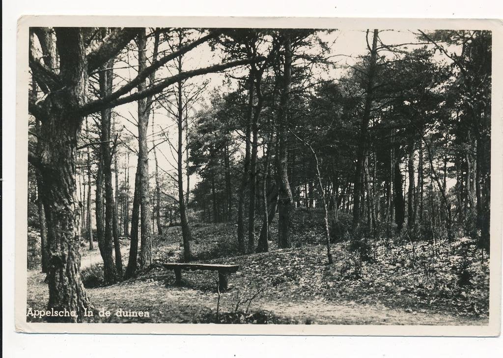 Appelscha - In de Duinen [003-6030, Ophalen of Verzenden, 1960 tot 1980, Gelopen, Friesland
