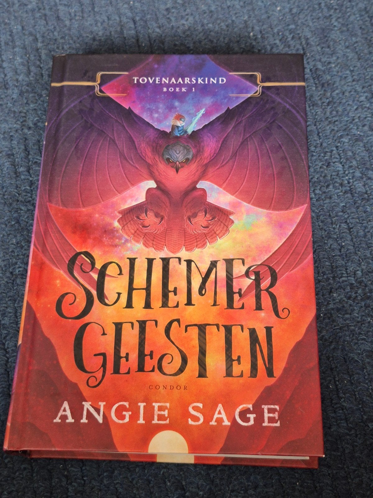 Tovernaarskind Boek 1: Schemergeesten - Angie Sage, Boeken, Ophalen of Verzenden