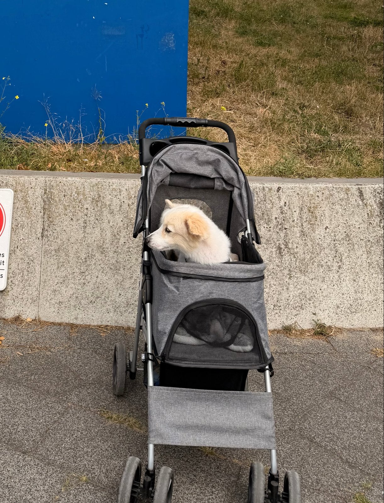 Trixie hondenbuggy, Ophalen, Zo goed als nieuw