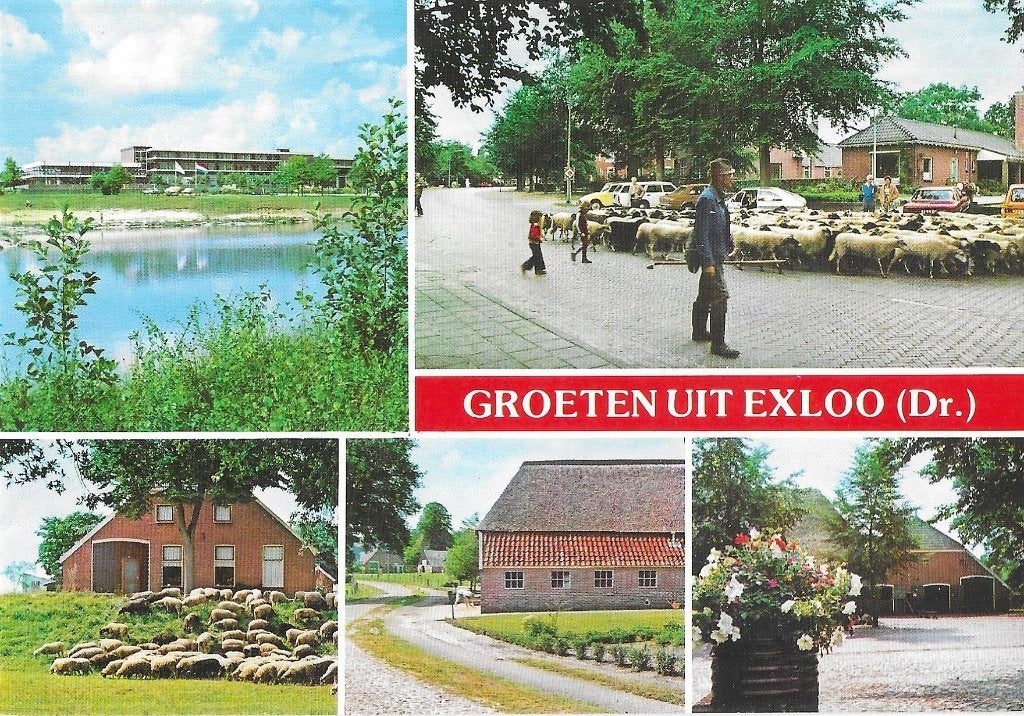 AK Exloo - Groeten uit...., Ophalen of Verzenden, 1960 tot 1980, Ongelopen, Drenthe