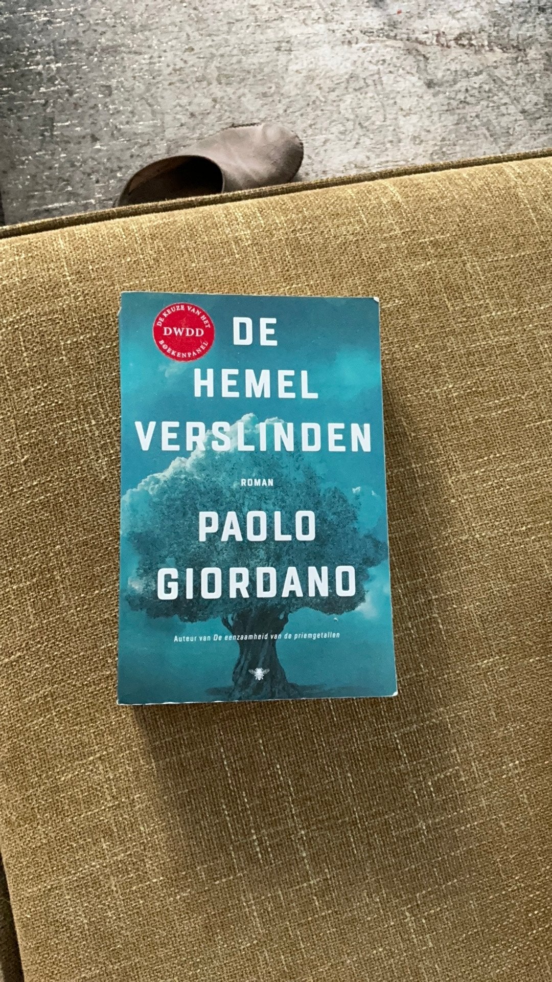 Paolo Giordano - De hemel verslinden, Ophalen of Verzenden, Gelezen, Paolo Giordano