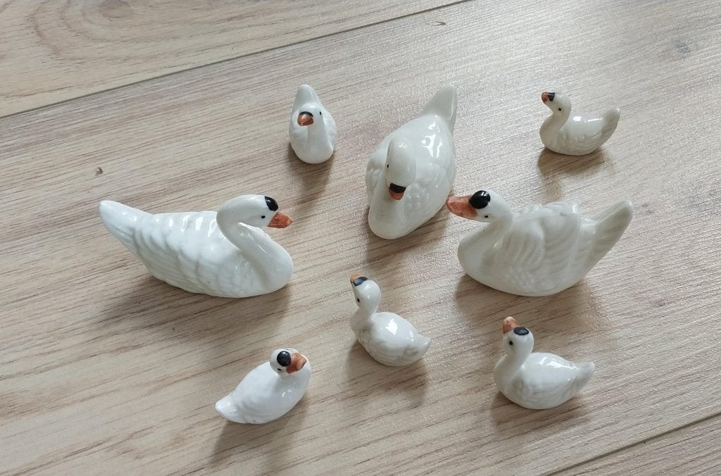 Zwaantjes (voor de verzamelaar), Ophalen of Verzenden, Gebruikt, Dier