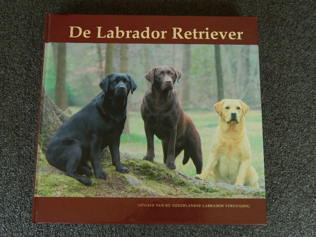 De Labrador Retriever, Ophalen of Verzenden, Zo goed als nieuw, Honden, De Nederlandse Labradorvereniging