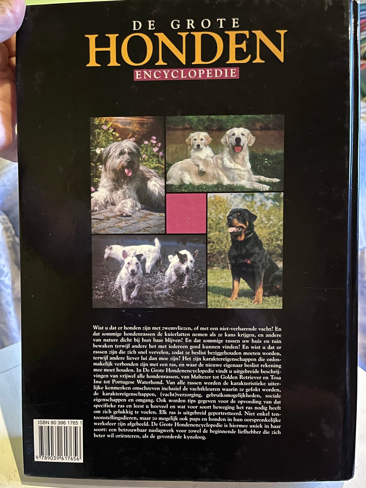 De Grote Honden Encyclopedie - Esther Verhoef, Ophalen of Verzenden, Zo goed als nieuw, Honden