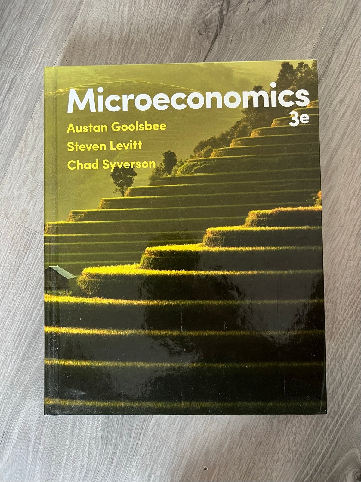 Microeconomics 3e - Goolsbee, Levitt, Syverson, Boeken, Ophalen of Verzenden, Gamma, Zo goed als nieuw, HBO