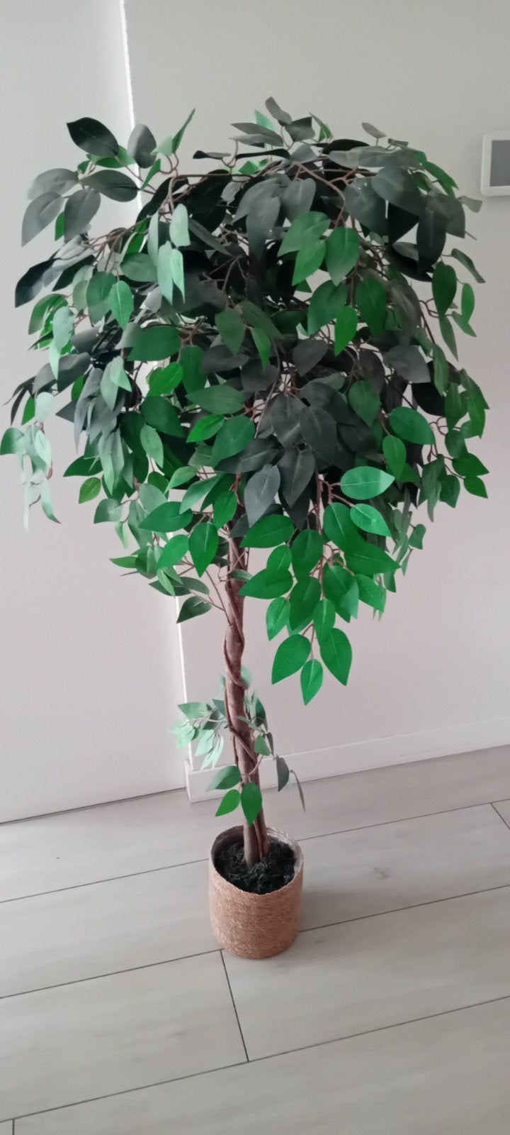 Mooie kunstboom, perfect voor elk interieur, Ophalen, Binnen, Groen, Onderhoudsvrij