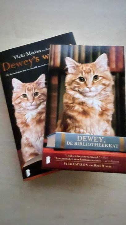 Dewey's Wereld & Dewey de Bibliotheekkat - 2 boeken, Boeken, Ophalen of Verzenden, Gelezen, Amerika