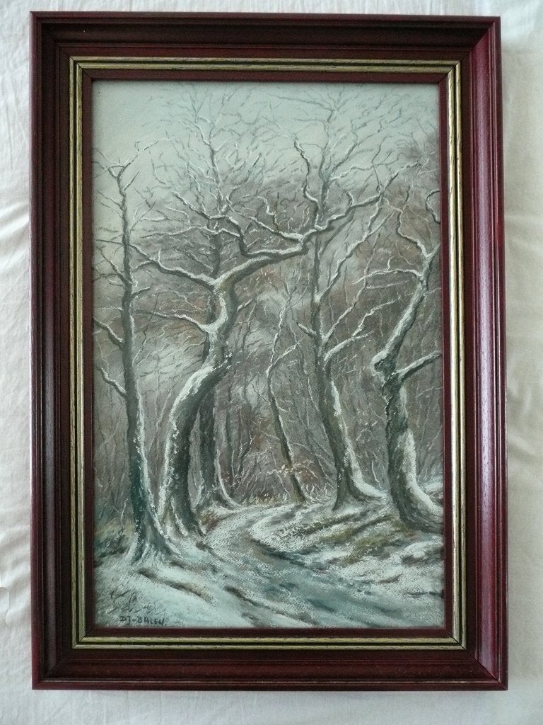 winterlandschao op canvas, Ophalen of Verzenden, Schilderij