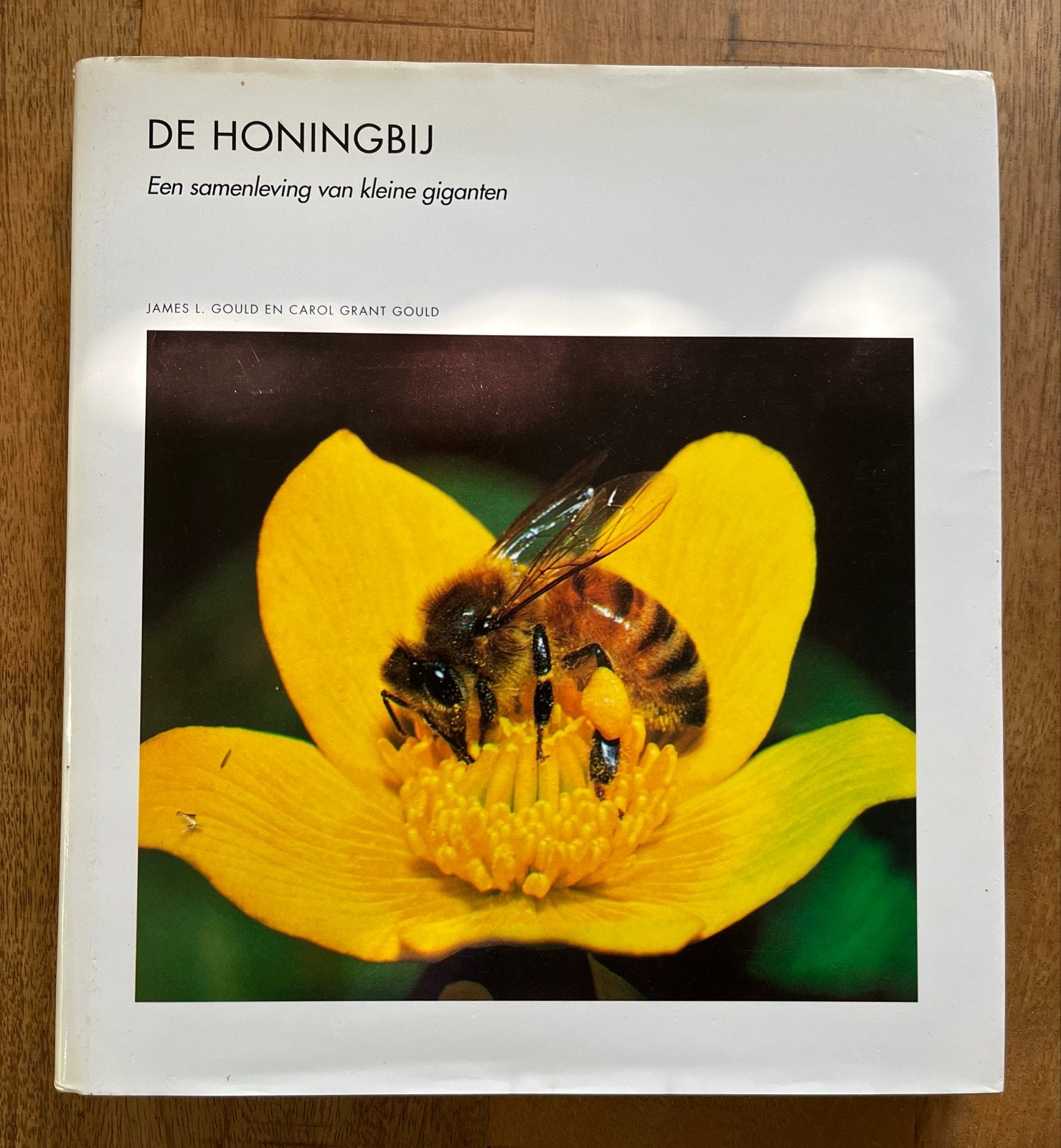 De Honingbij: Een samenleving van kleine giganten, Ophalen of Verzenden, Zo goed als nieuw, Natuur algemeen