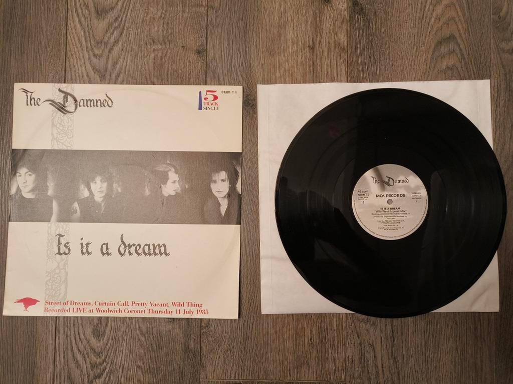 12" the damned is it a dream, Ophalen of Verzenden, 12 inch, Maxi-single