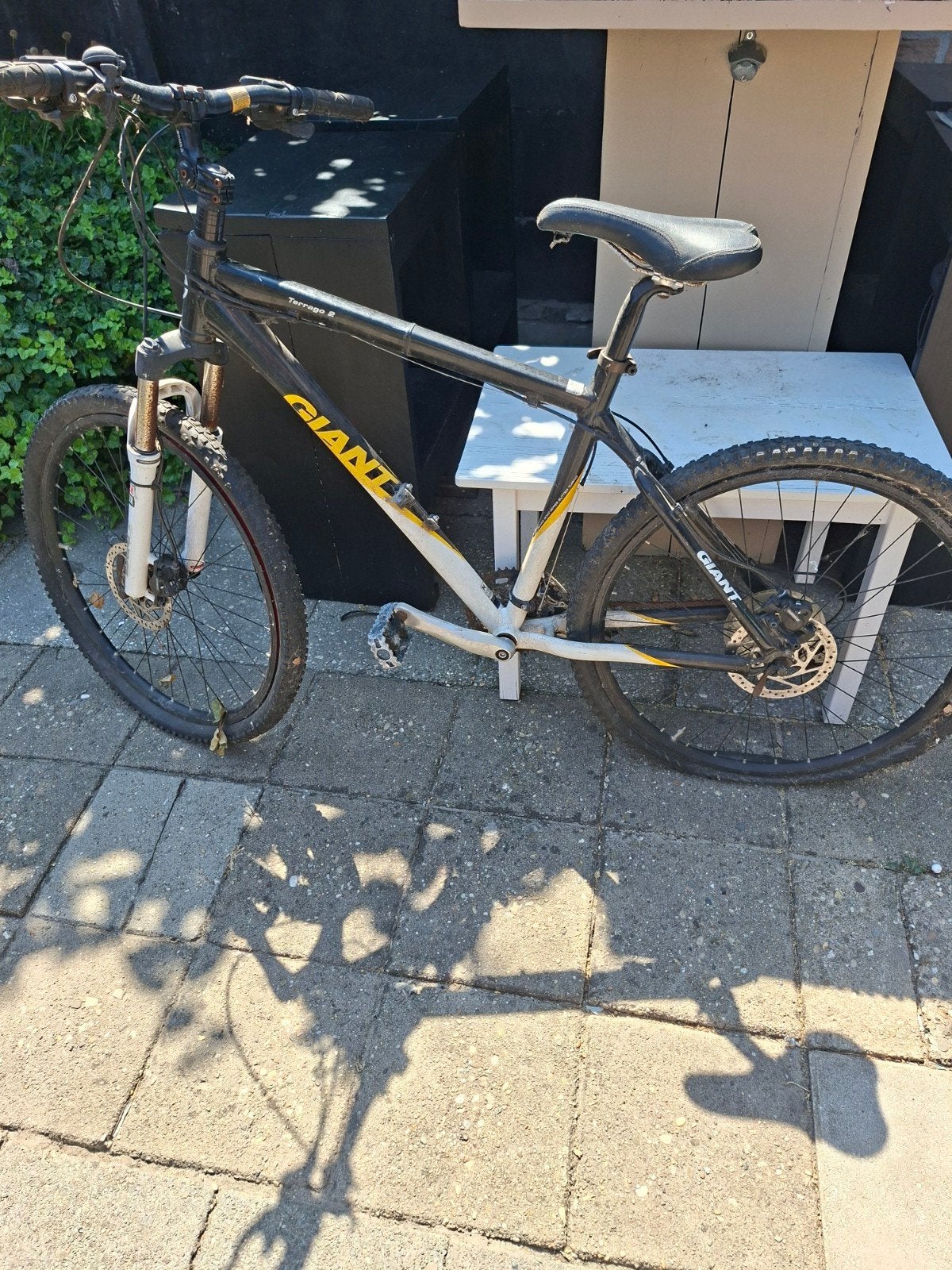 Giant Terrago 2 Mountainbike - Opknapper, Ophalen