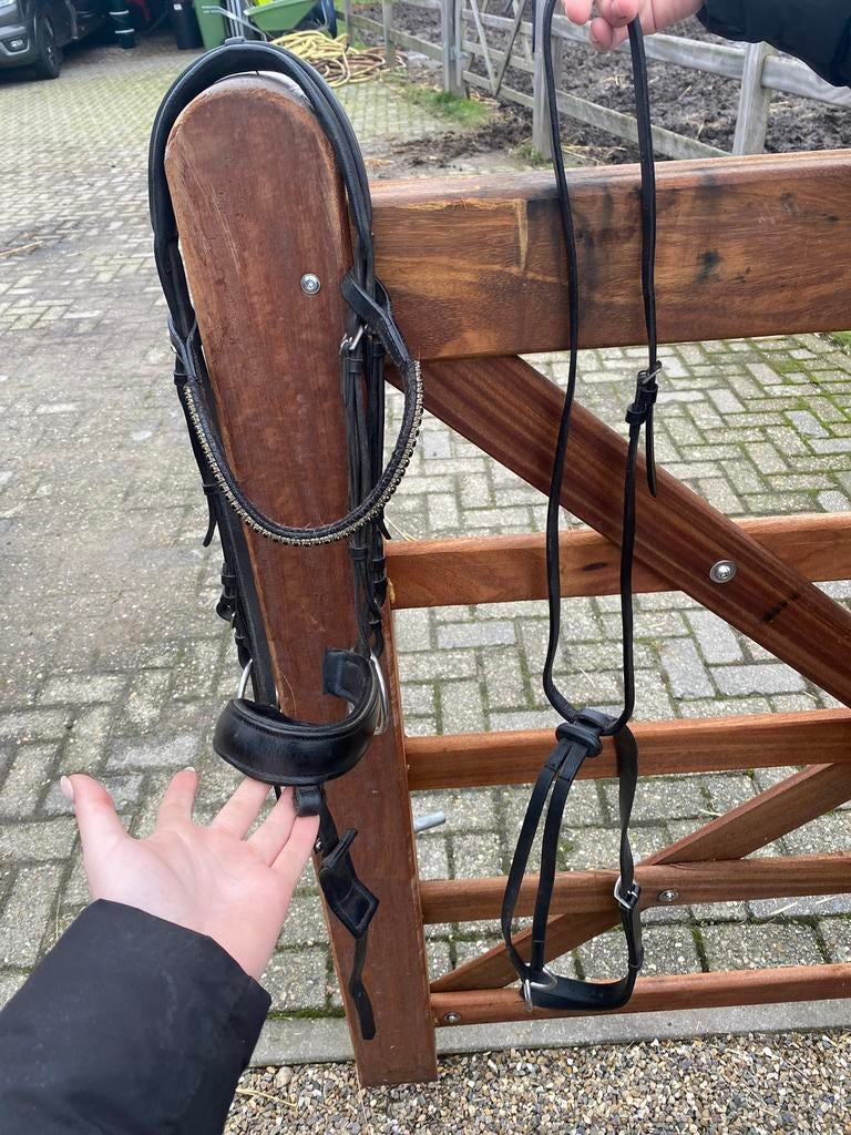 Hoofstel maat full + magtegaal, Dieren en Toebehoren, Paarden en Pony's | Hoofdstellen en Tuigage, Ophalen, Zo goed als nieuw