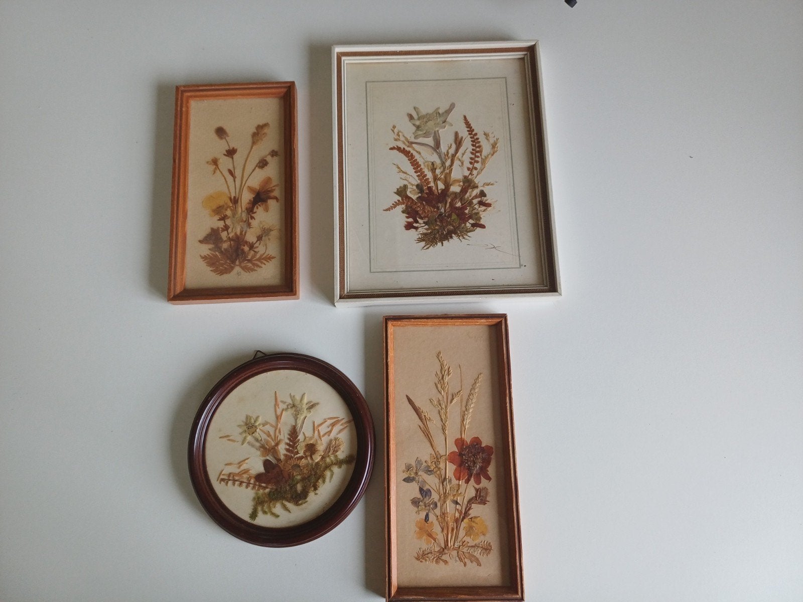 Set van 4 ingelijste gedroogde bloemen en planten, Ophalen of Verzenden, Gebruikt, Minder dan 50 cm, Overige typen