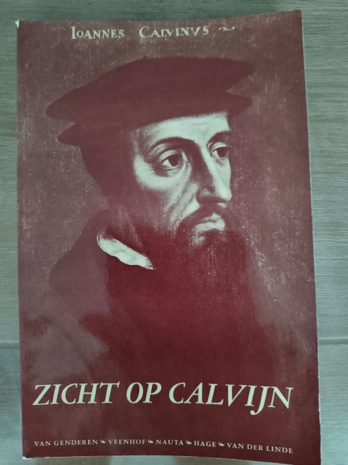 Zicht op Calvijn, J van Genderen oa, Ophalen of Verzenden, Gelezen