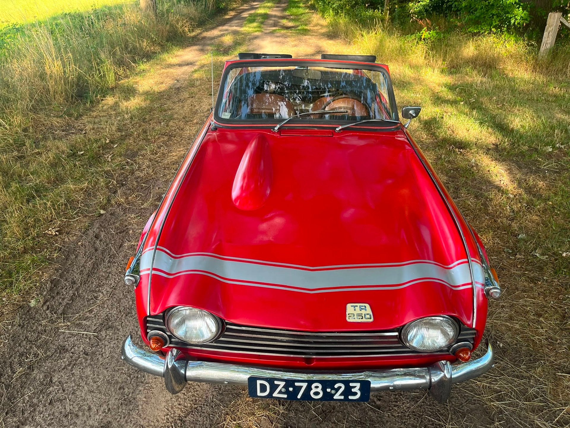 Triumph TR250 Gereviseerde motor, foto 10