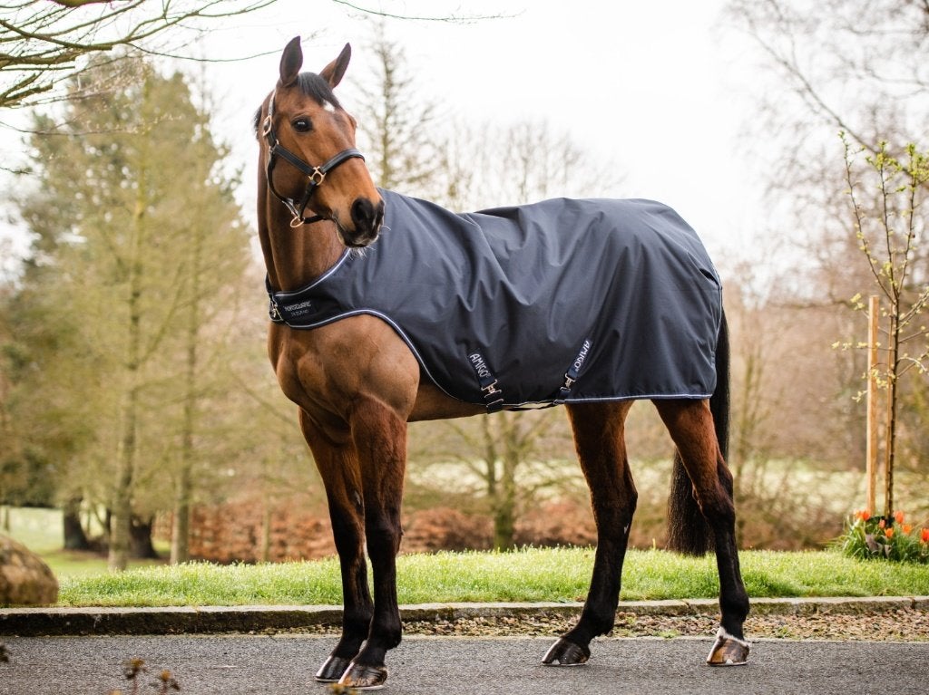 Amigo Walker, Stapmolendeken 100 gram, maat S, M, L en XL, 100 g, Ophalen of Verzenden, Kruissingels, Nieuw