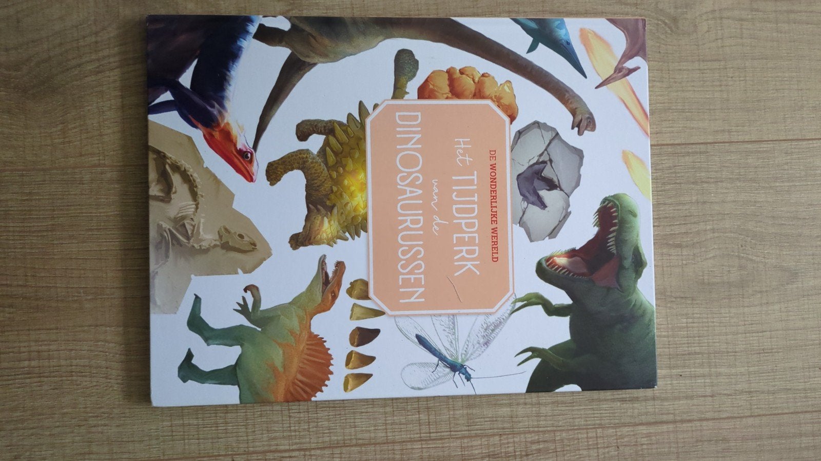 Het Tijdperk van de Dinosaurussen - Boek, Boeken, Kinderboeken | Jeugd | onder 10 jaar, Ophalen of Verzenden, Zo goed als nieuw
