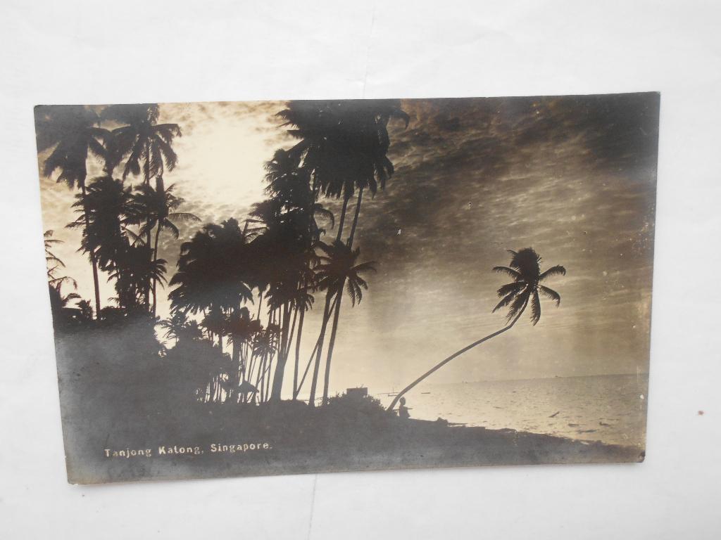 Singapore Tanjong Katong unieke oude kaart van de natuur, Ophalen of Verzenden, 1920 tot 1940, Ongelopen, Buiten Europa
