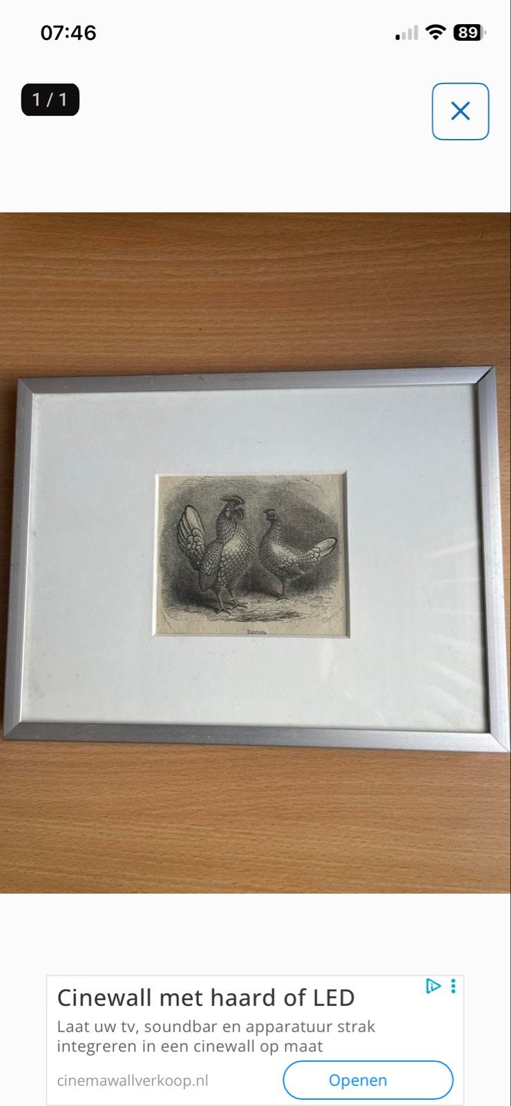 Antieke ingelijste gravure van haan en kip, Ophalen of Verzenden