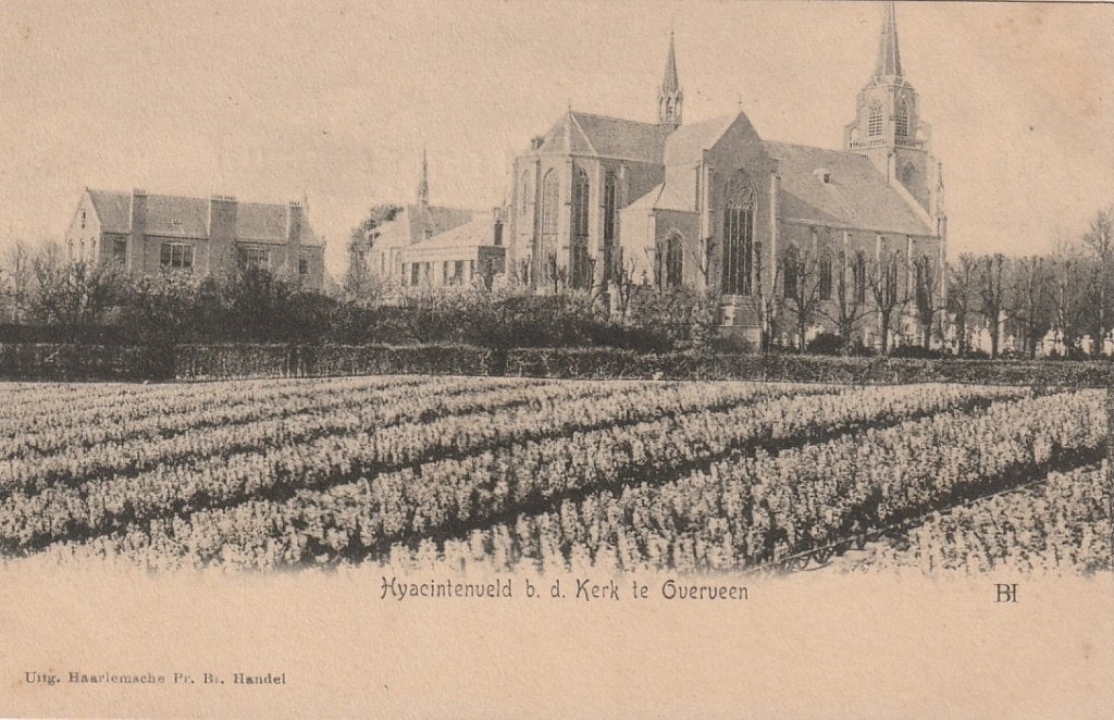 Overveen bij Bloemendaal Hyacintenveld bij Kerk, Ophalen of Verzenden, Voor 1920, Ongelopen, Noord-Holland