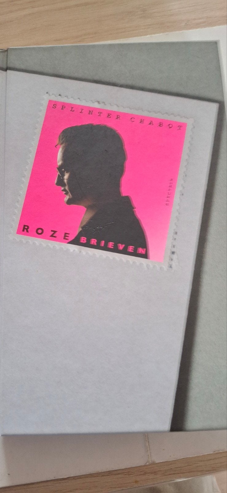 Splinter Chabot - Roze Brieven (Zo goed als nieuw), Boeken, Ophalen of Verzenden, Zo goed als nieuw, Splinter Chabot, Nederland