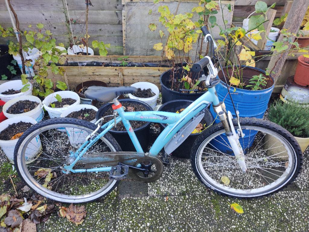 24 inch BATAVUS SNAKE fiets, Ophalen, Gebruikt, 20 inch of meer