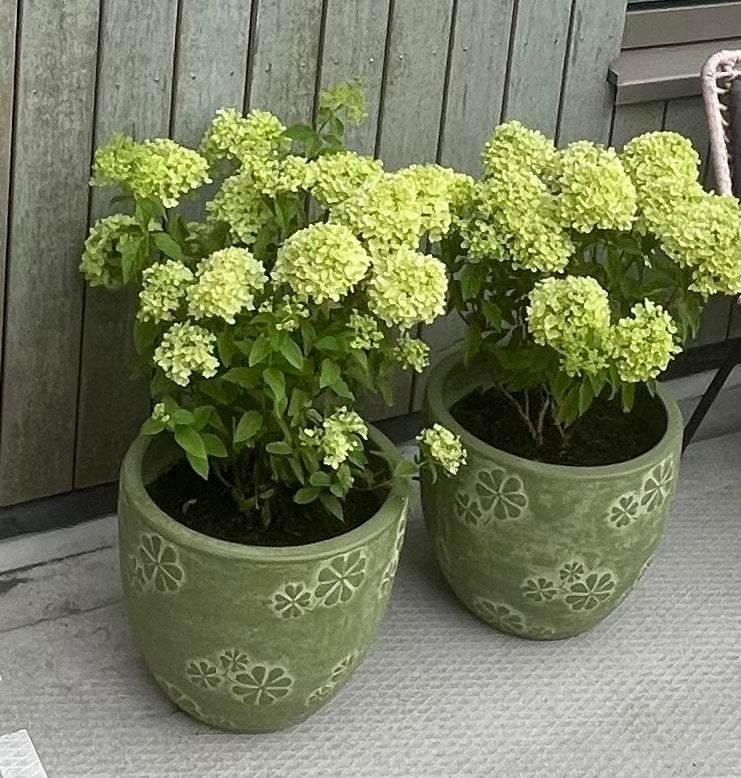 Leuke bijna nieuwe bloempotten, Ophalen, Rond, Zo goed als nieuw, Aardewerk